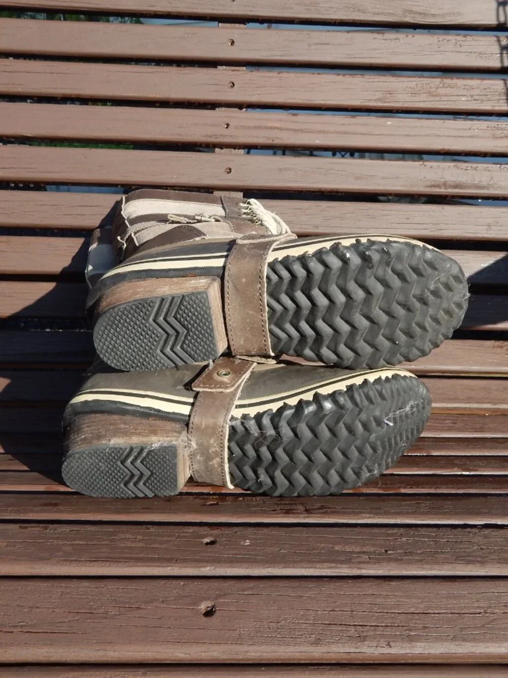 Sorel conquest carly